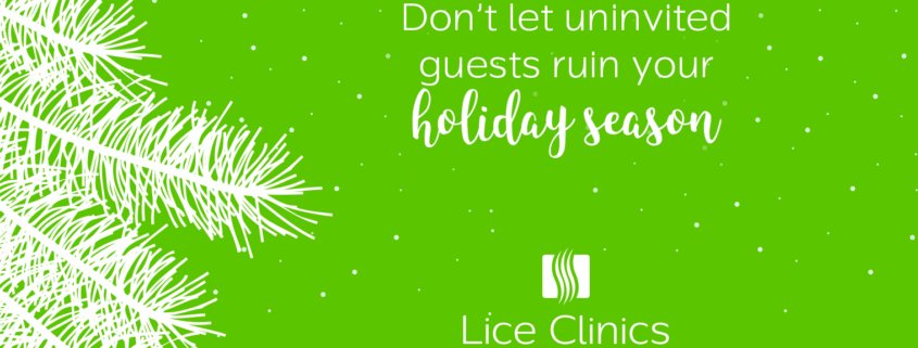 north pittsburgh holiday head lice prevention